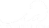 Imán